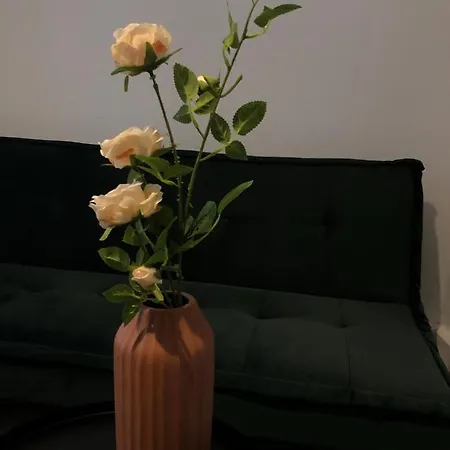 Breezy Apartament * Constanta