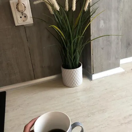 Breezy Apartament * Constanta